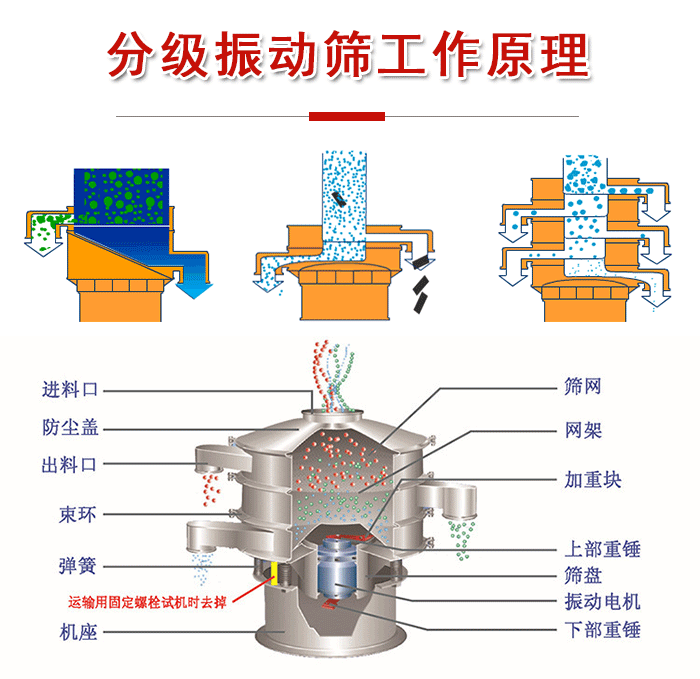 分級(jí)振動(dòng)篩內(nèi)部結(jié)構(gòu)：進(jìn)料口，防塵蓋，出料口，束環(huán)，彈簧，機(jī)座，篩網(wǎng)，網(wǎng)架，上部重錘，振動(dòng)電機(jī)，下部重錘。